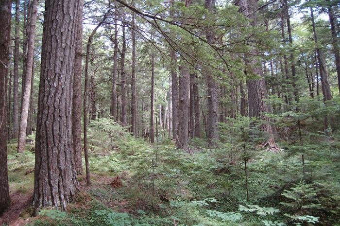 Kanutrip Naturreservat Sporting Lake_62
